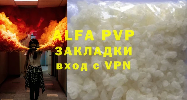 PSILOCYBIN Белокуриха